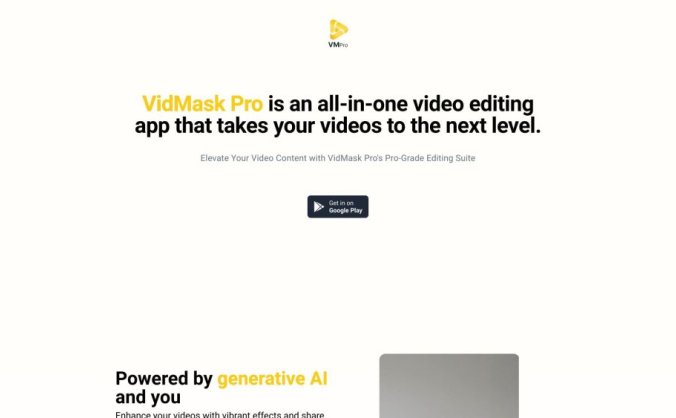 VidMaskPro