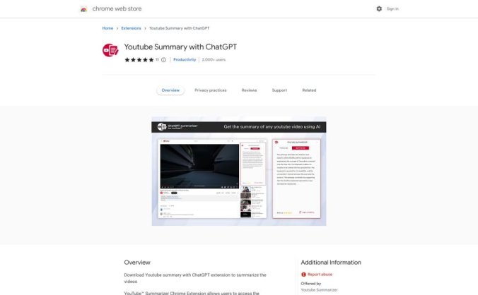 YouTube™ Summarizer Chrome扩展